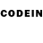 Псилоцибиновые грибы ЛСД HoldenSin