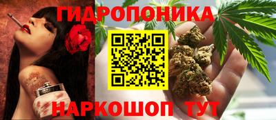2c-b Ачхой-Мартан