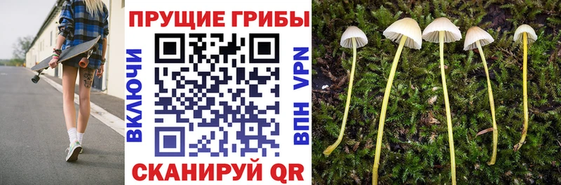 Псилоцибиновые грибы прущие грибы Топки