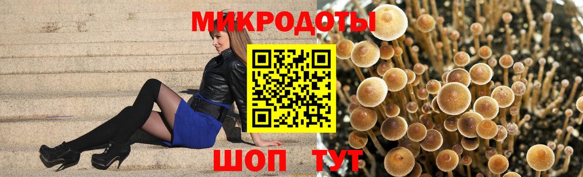 Галлюциногенные грибы прущие грибы Топки