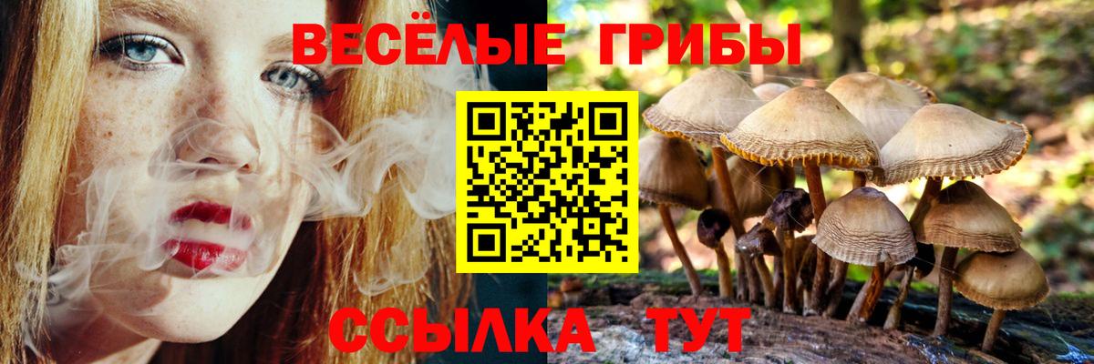 Топки  Псилоцибиновые грибы мицелий  Вход с VPN 